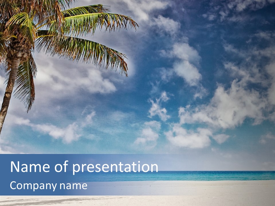 Paradise Palm Wallpaper PowerPoint Template