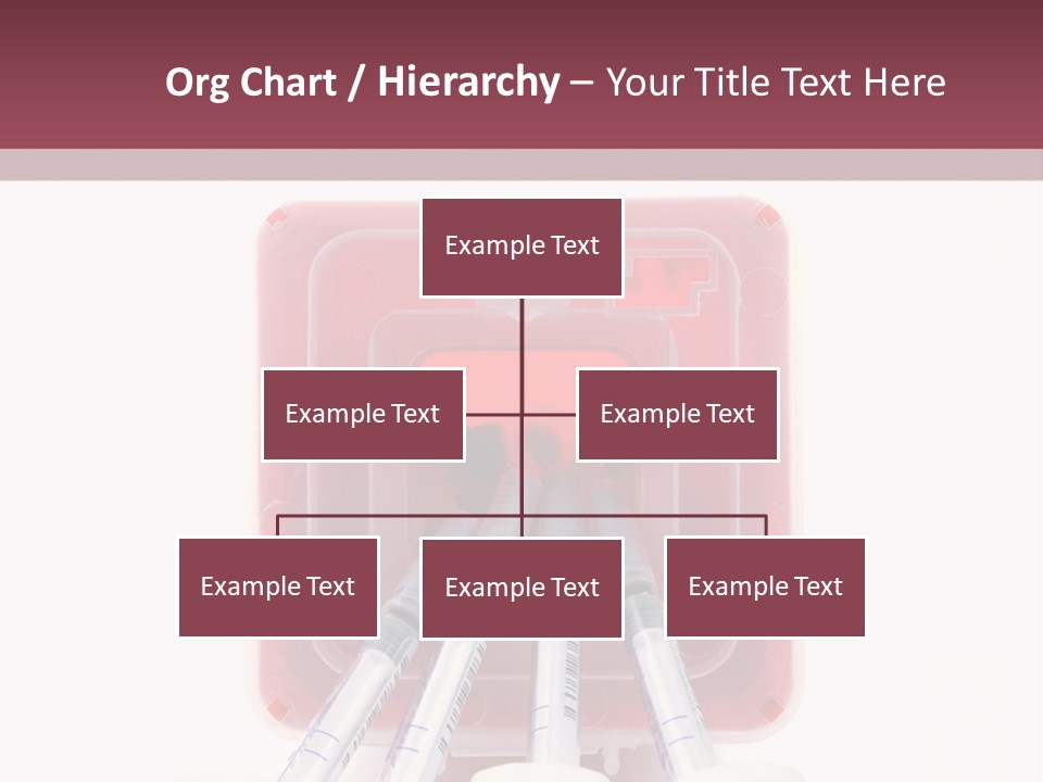 A Group Of Toothbrushes In A Plastic Case PowerPoint Template