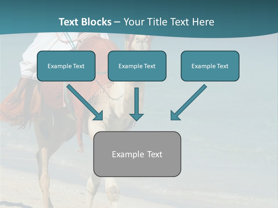 A Person Riding A Camel On A Beach PowerPoint Template