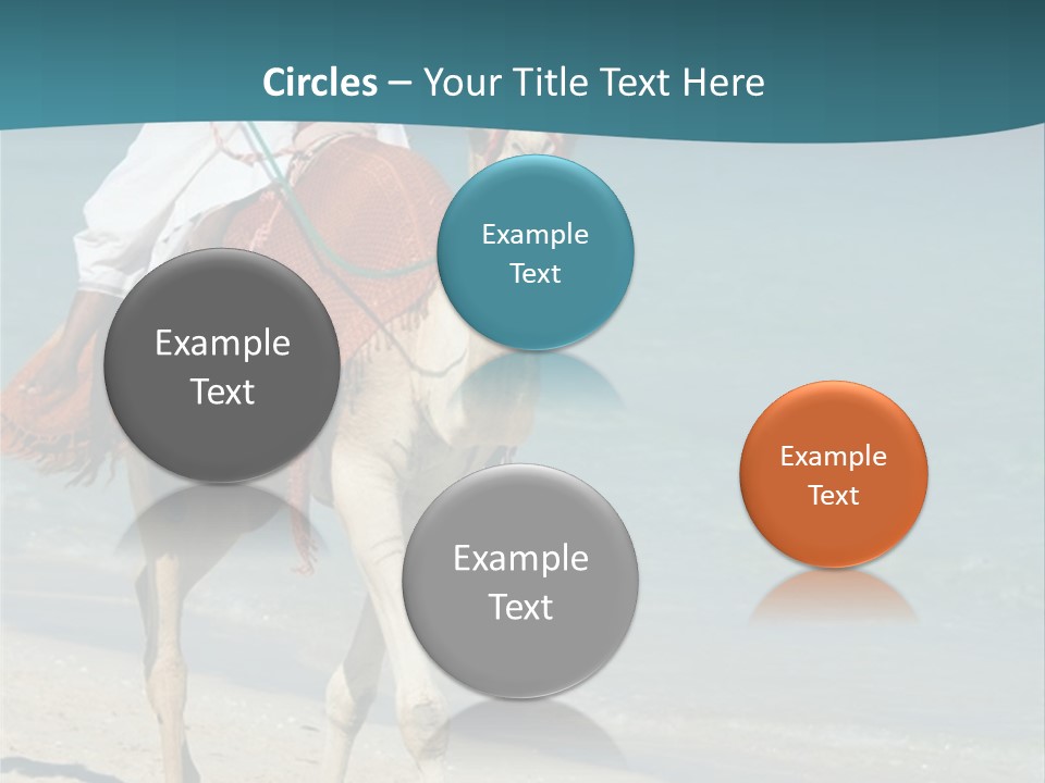 A Person Riding A Camel On A Beach PowerPoint Template