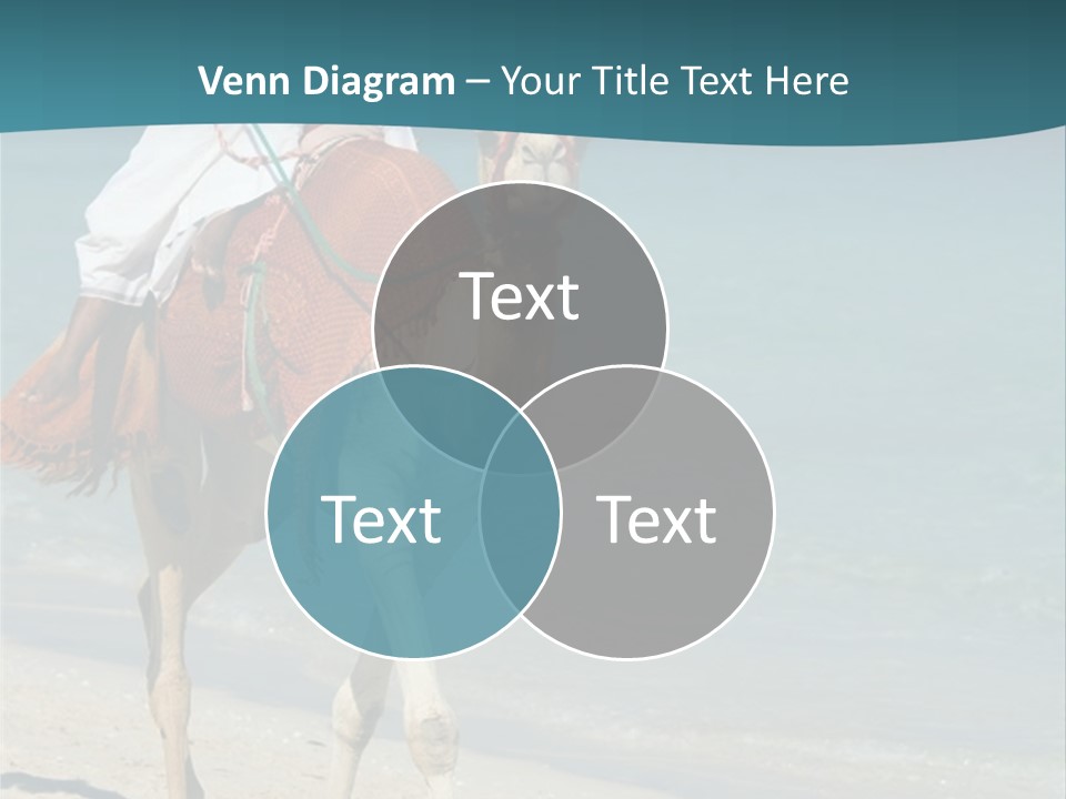 A Person Riding A Camel On A Beach PowerPoint Template