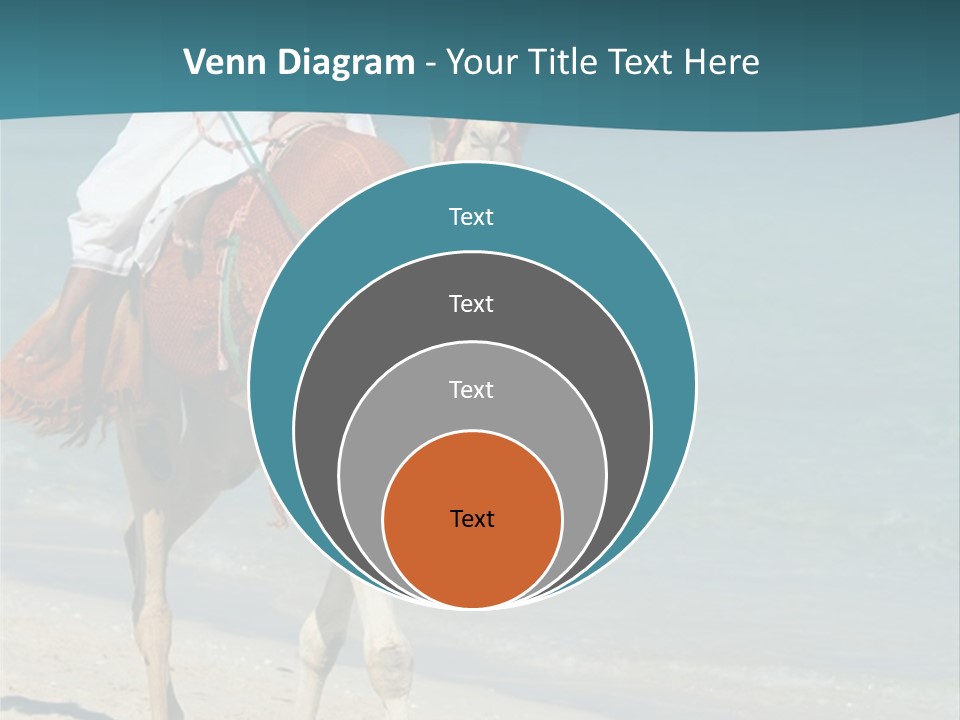A Person Riding A Camel On A Beach PowerPoint Template