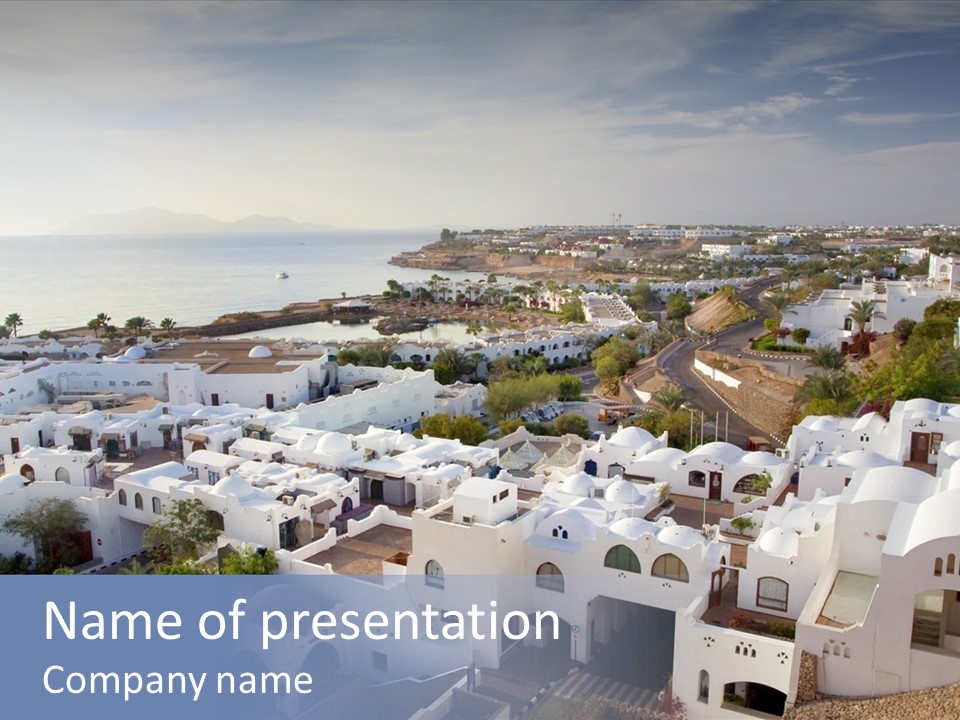 Palm Lake East PowerPoint Template