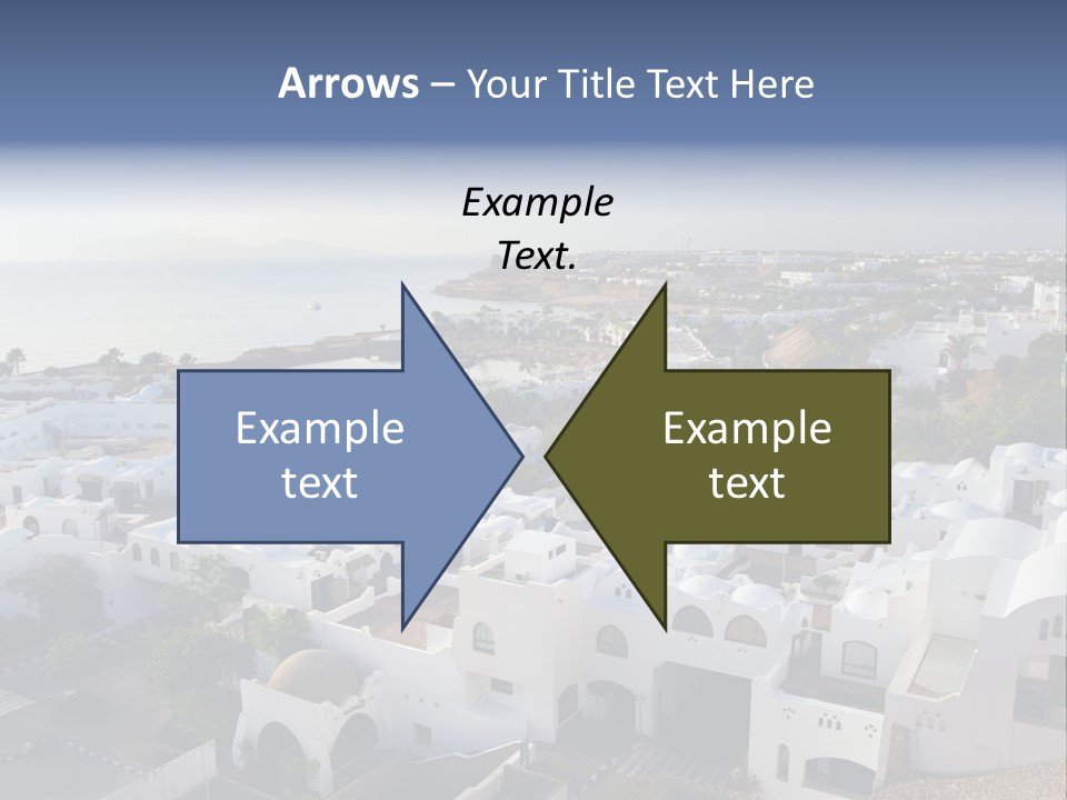 Palm Lake East PowerPoint Template