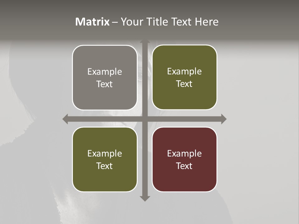 Eyes Beautiful Model PowerPoint Template