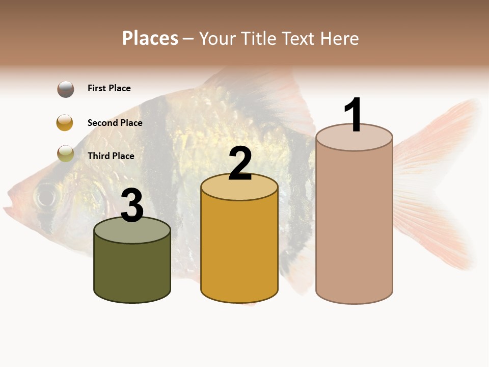 Orange Yellow Fresh PowerPoint Template