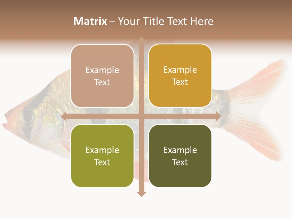 Orange Yellow Fresh PowerPoint Template