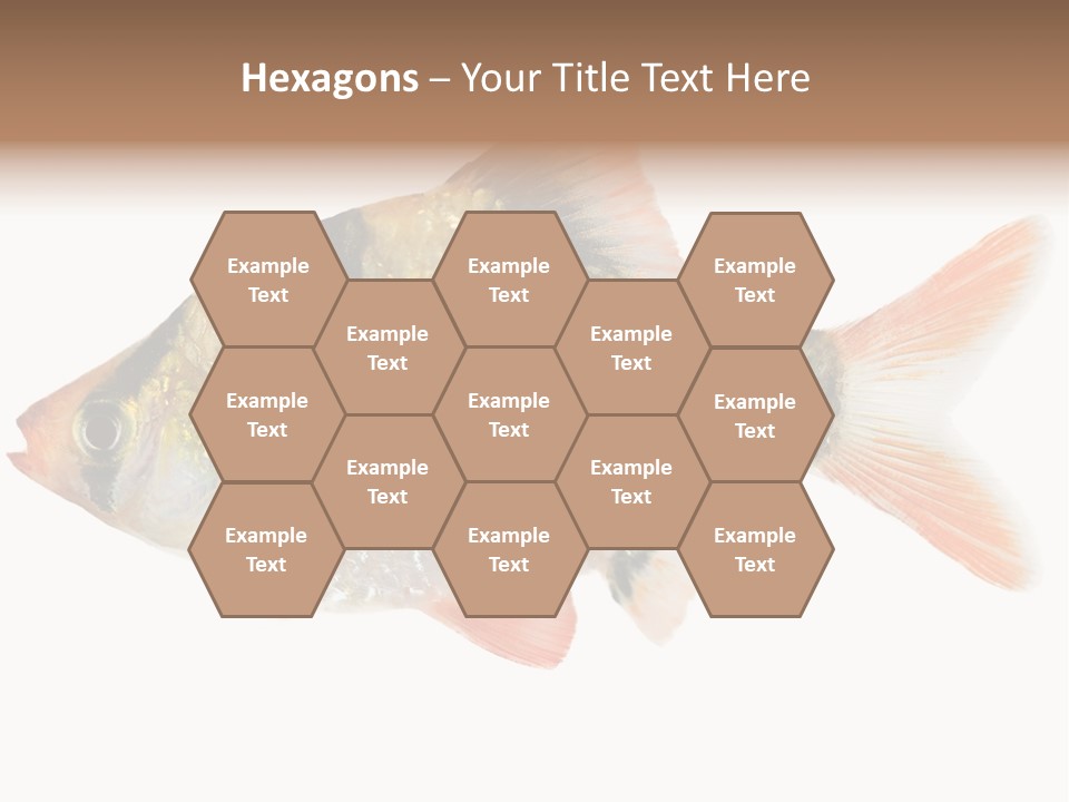 Orange Yellow Fresh PowerPoint Template