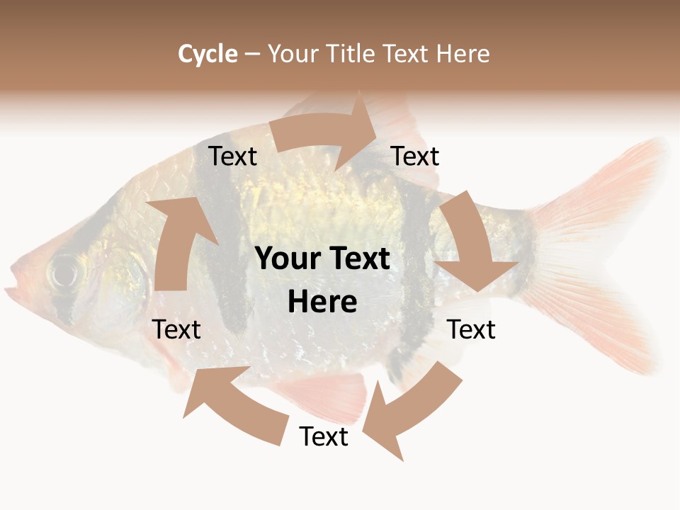 Orange Yellow Fresh PowerPoint Template