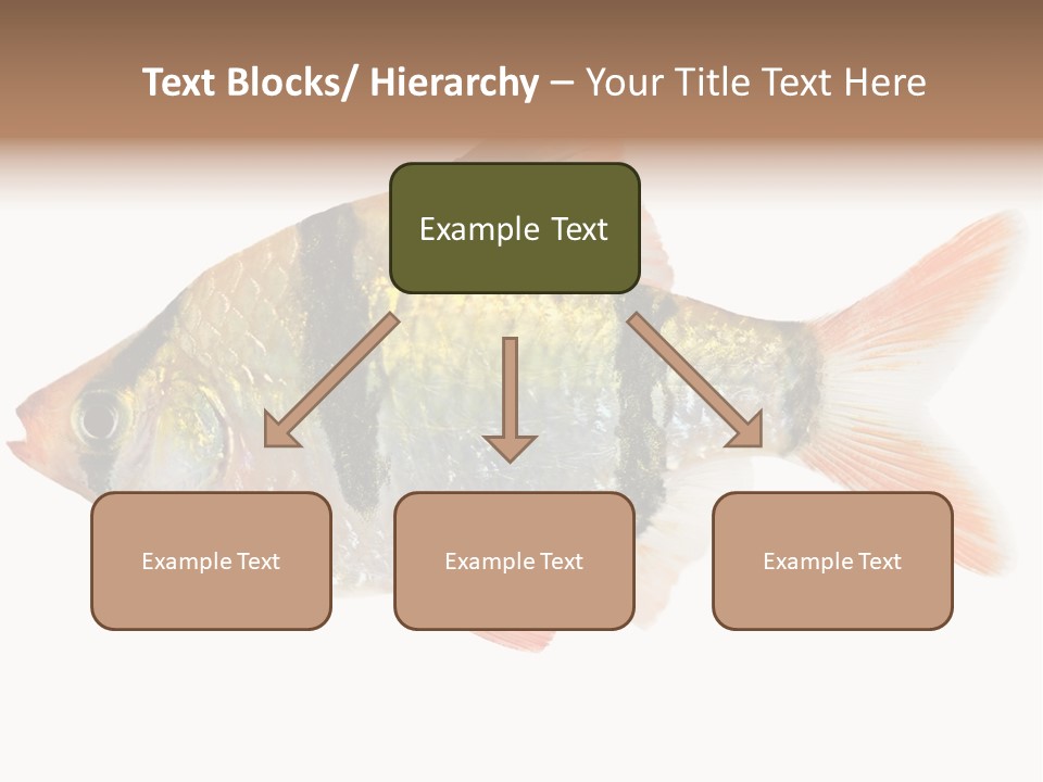 Orange Yellow Fresh PowerPoint Template