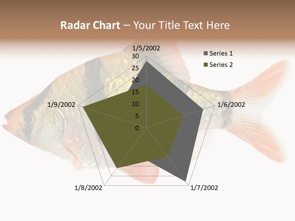 Orange Yellow Fresh PowerPoint Template
