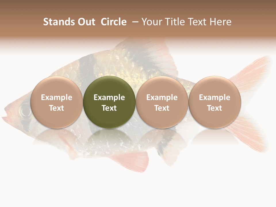 Orange Yellow Fresh PowerPoint Template