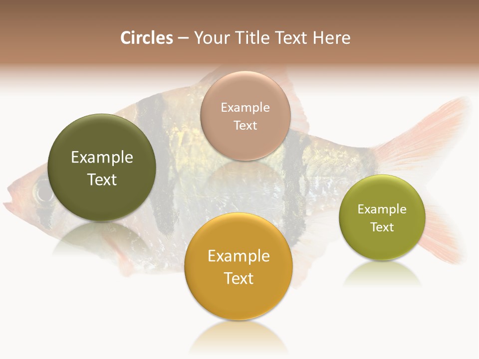 Orange Yellow Fresh PowerPoint Template