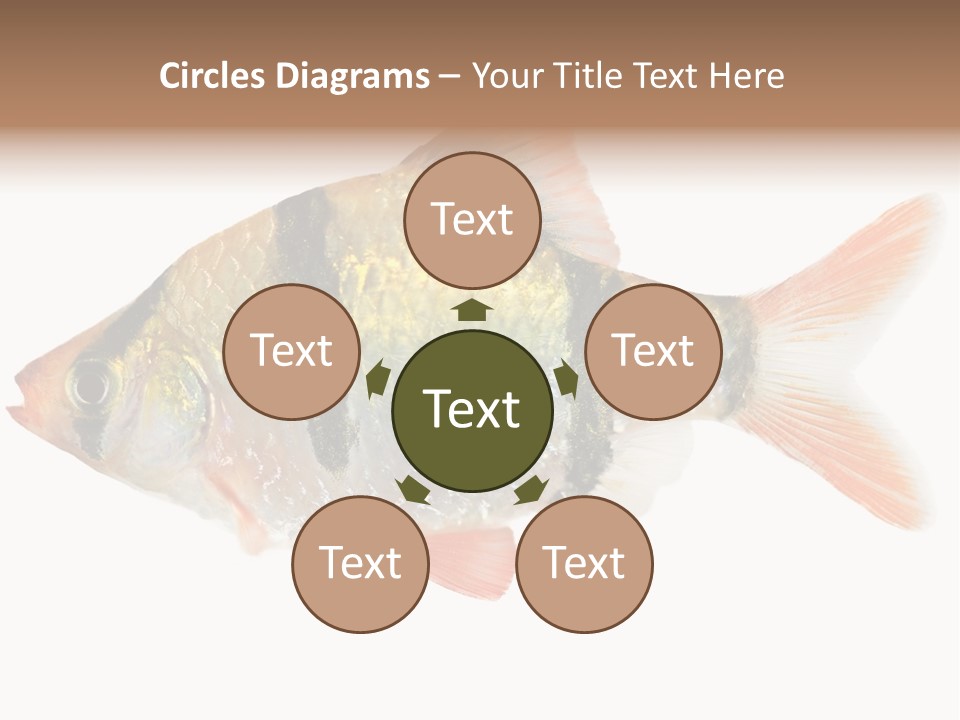 Orange Yellow Fresh PowerPoint Template