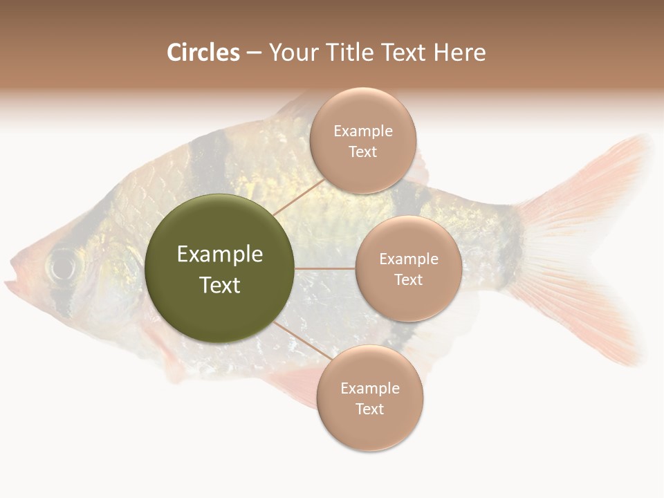 Orange Yellow Fresh PowerPoint Template