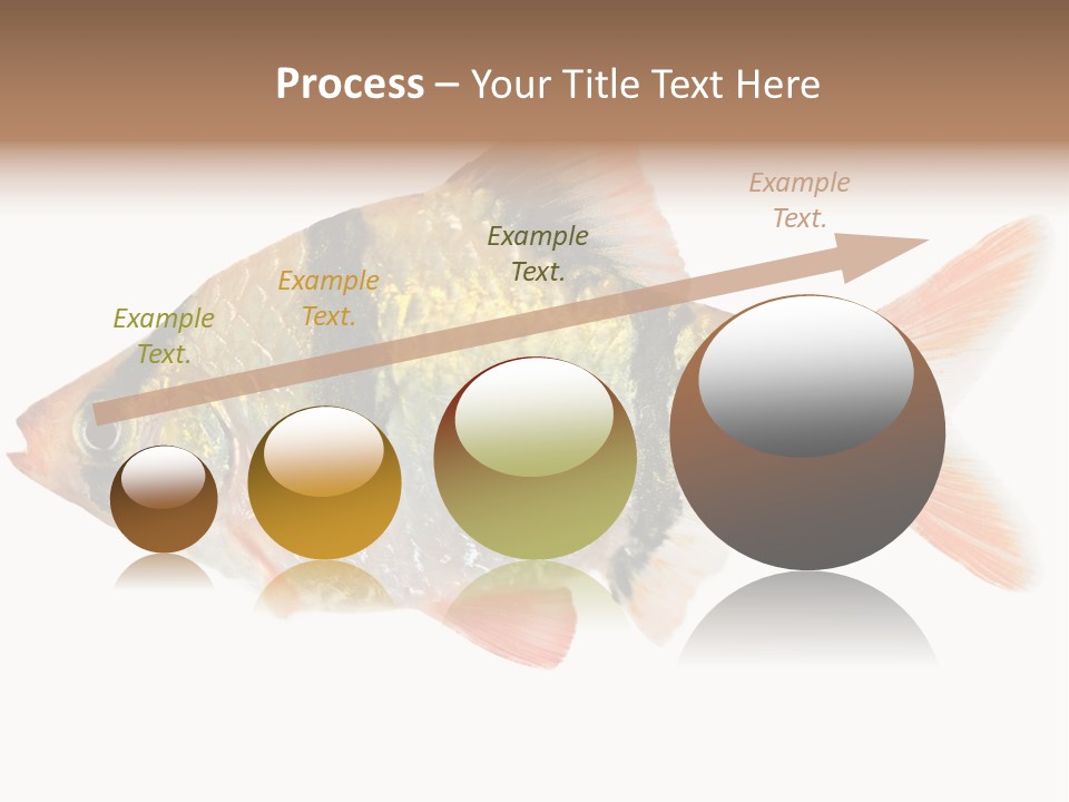 Orange Yellow Fresh PowerPoint Template