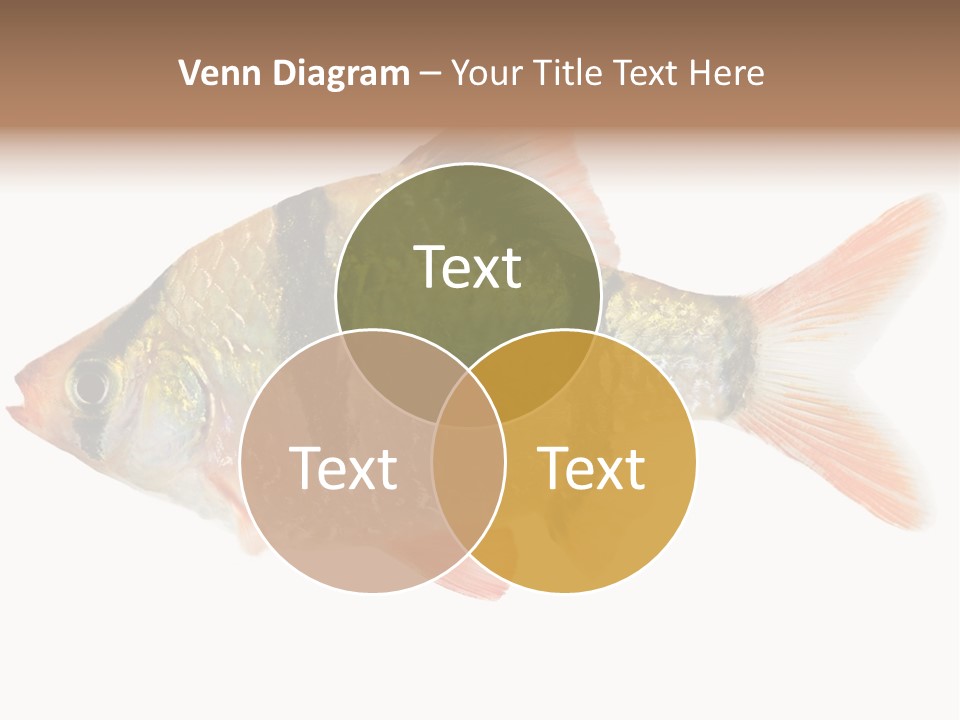 Orange Yellow Fresh PowerPoint Template