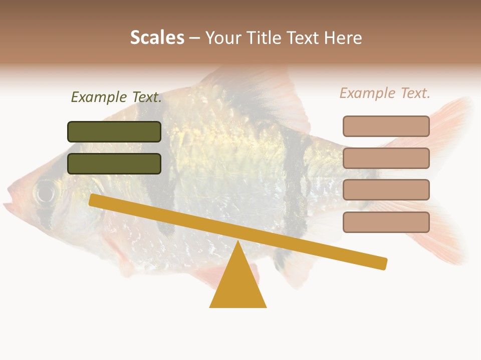 Orange Yellow Fresh PowerPoint Template