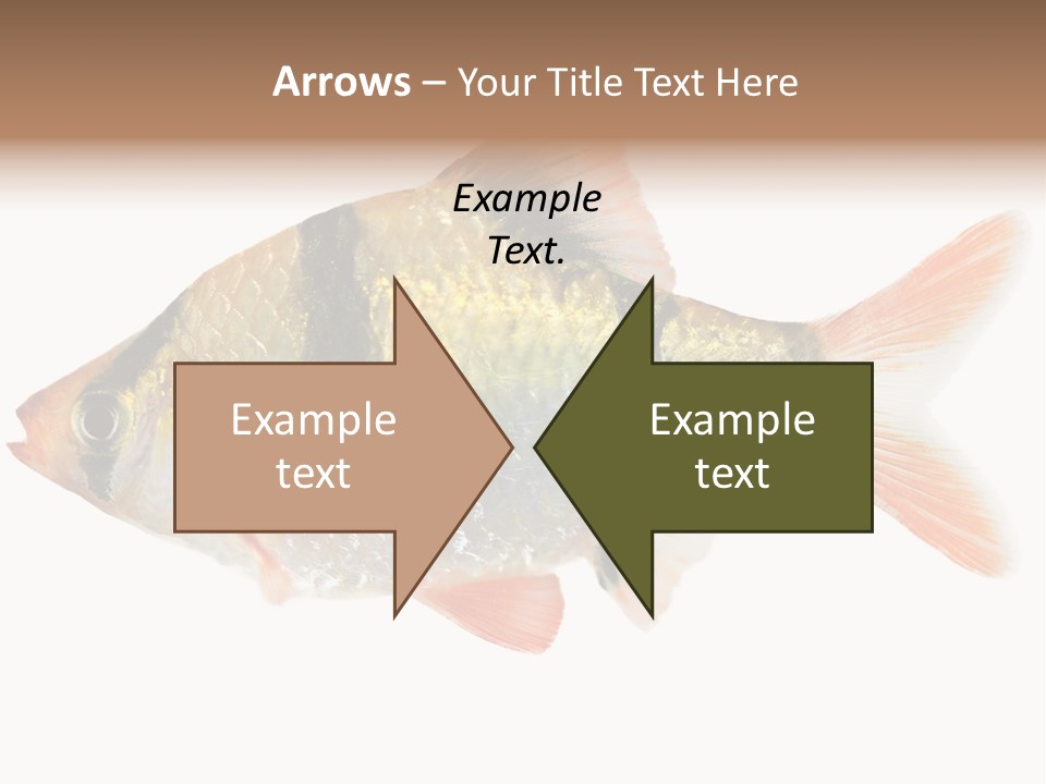 Orange Yellow Fresh PowerPoint Template