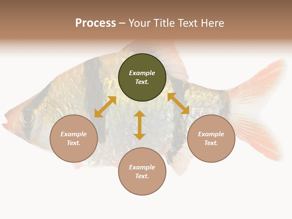 Orange Yellow Fresh PowerPoint Template