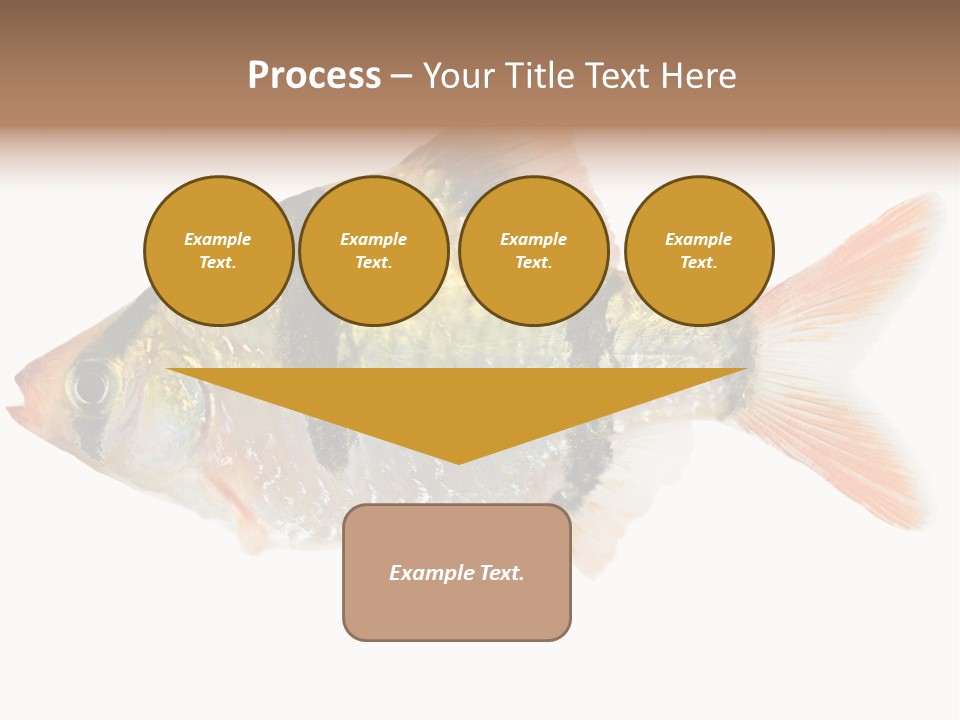 Orange Yellow Fresh PowerPoint Template
