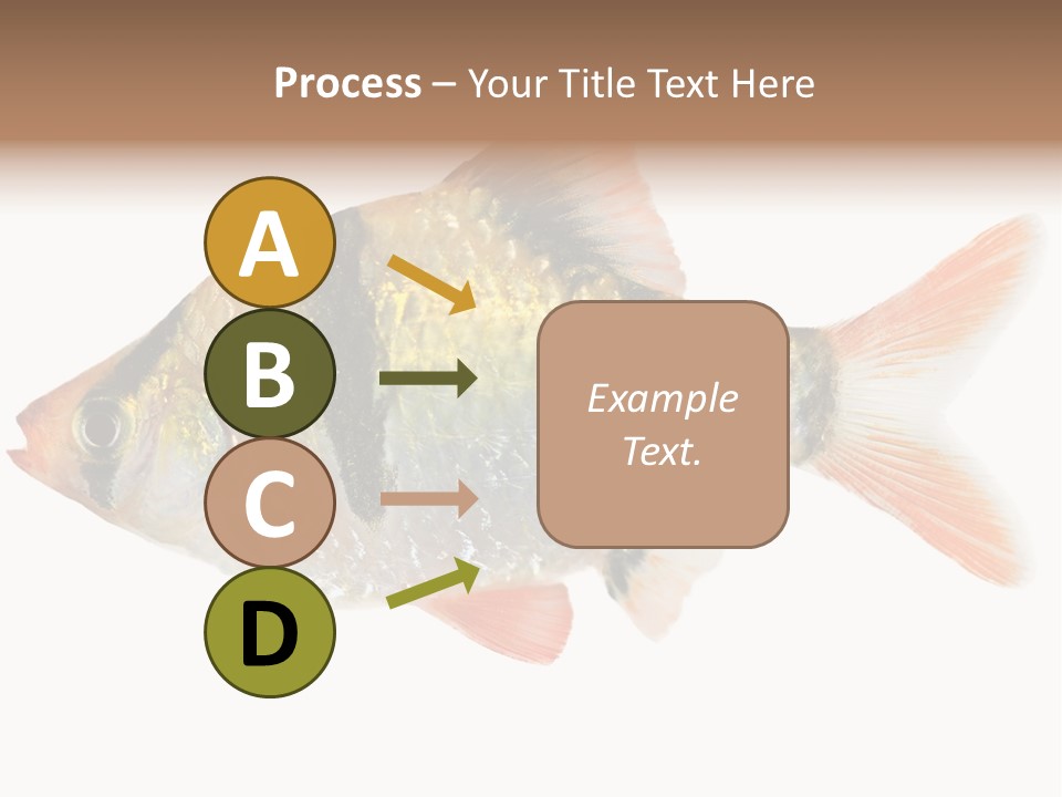 Orange Yellow Fresh PowerPoint Template
