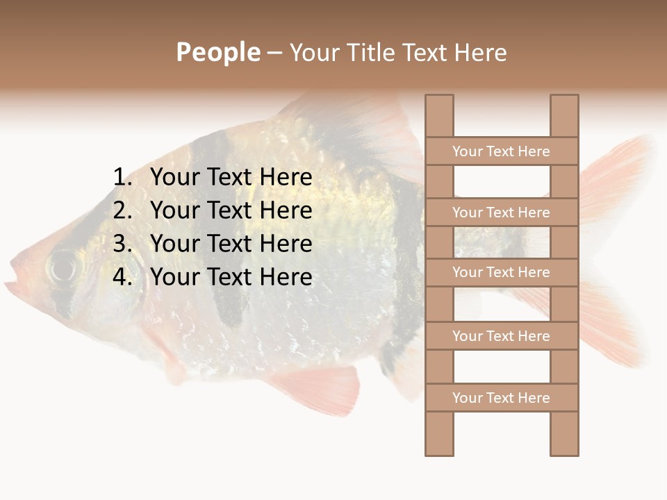 Orange Yellow Fresh PowerPoint Template