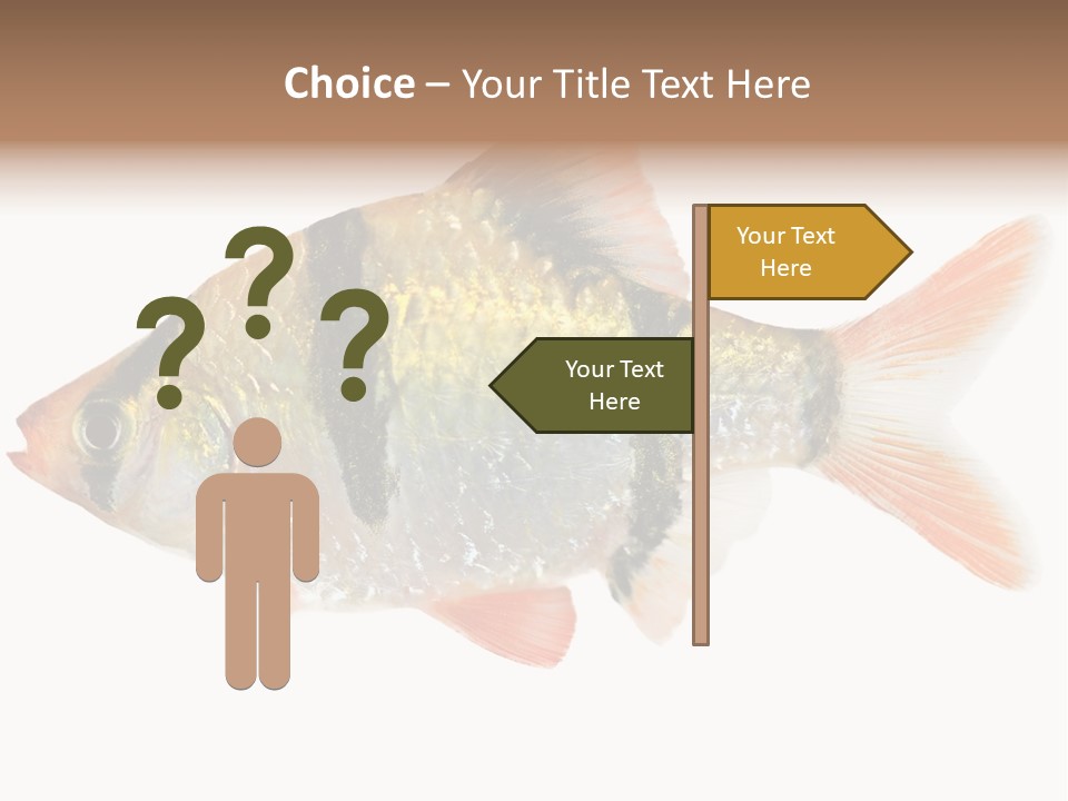 Orange Yellow Fresh PowerPoint Template