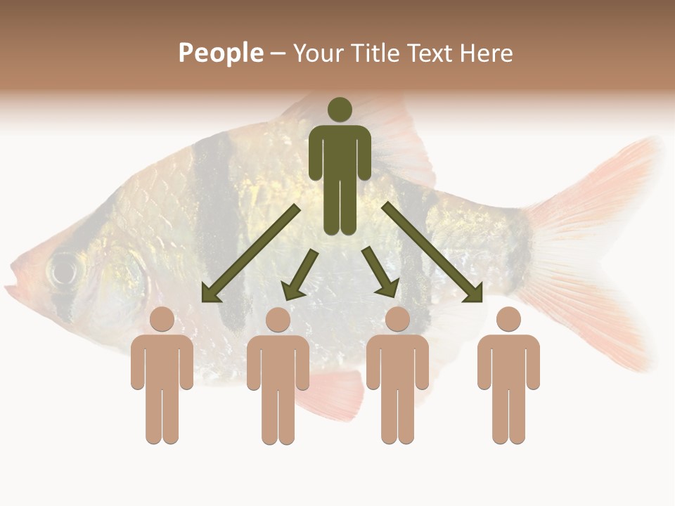 Orange Yellow Fresh PowerPoint Template