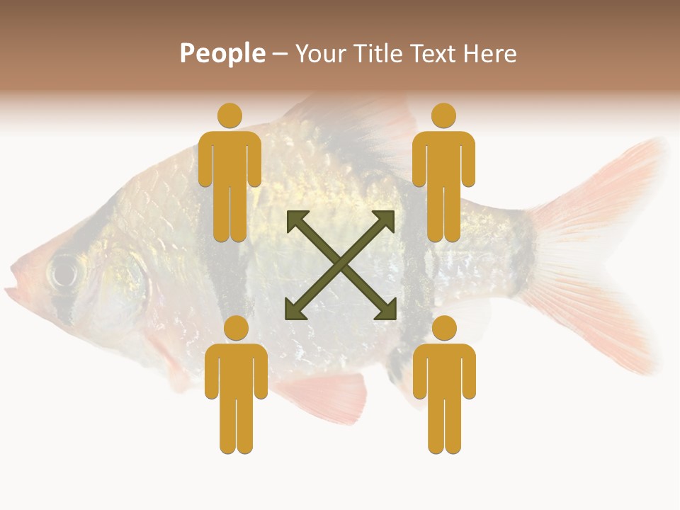 Orange Yellow Fresh PowerPoint Template