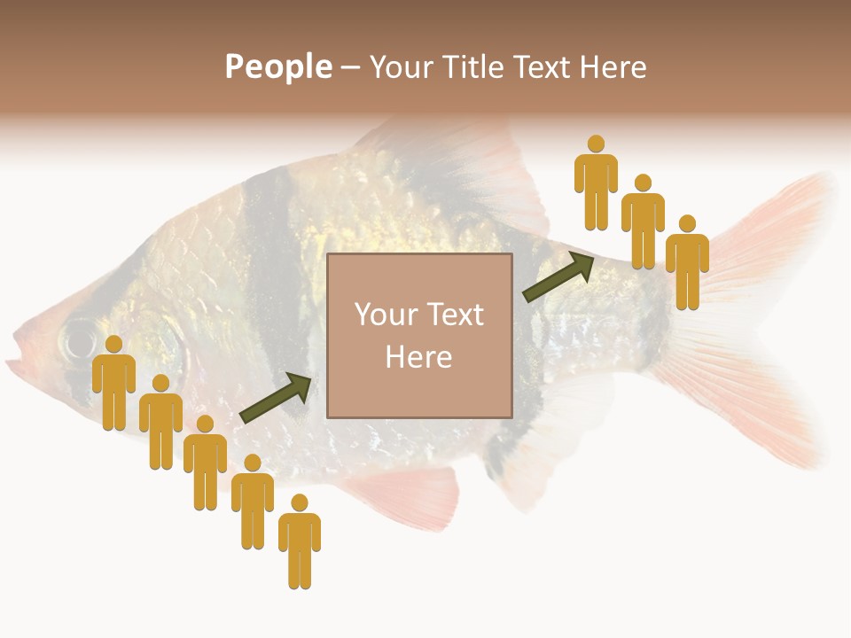 Orange Yellow Fresh PowerPoint Template