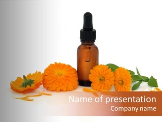 Flower Pipette Calendula PowerPoint Template