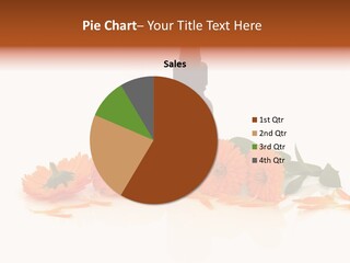 Flower Pipette Calendula PowerPoint Template