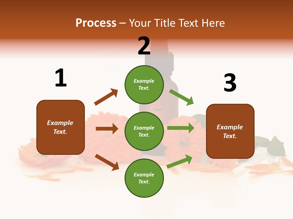 Flower Pipette Calendula PowerPoint Template