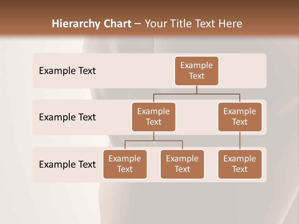 Model Examination Abs PowerPoint Template