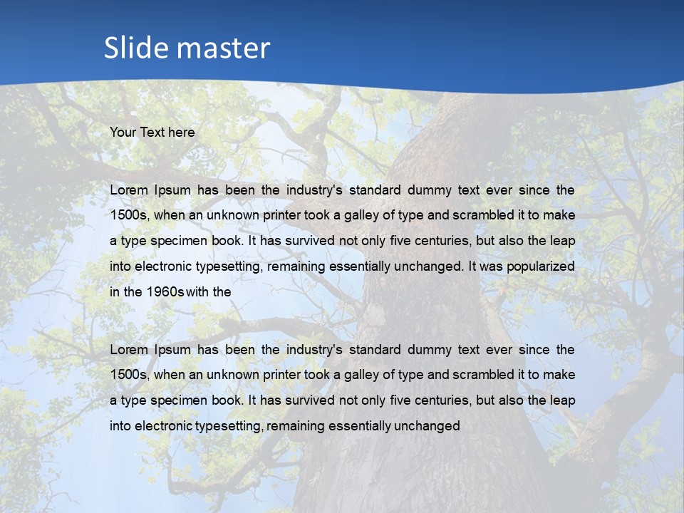 Clear Sunlight Forest PowerPoint Template