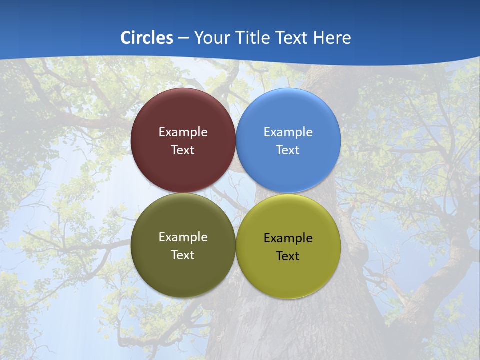 Clear Sunlight Forest PowerPoint Template