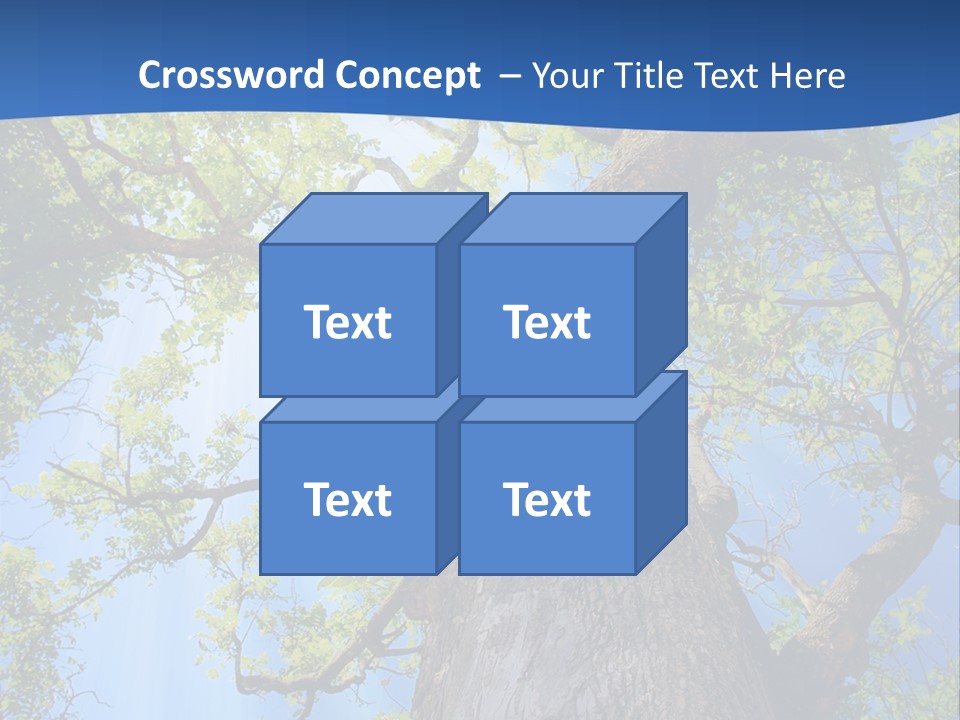 Clear Sunlight Forest PowerPoint Template