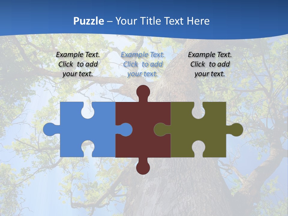 Clear Sunlight Forest PowerPoint Template