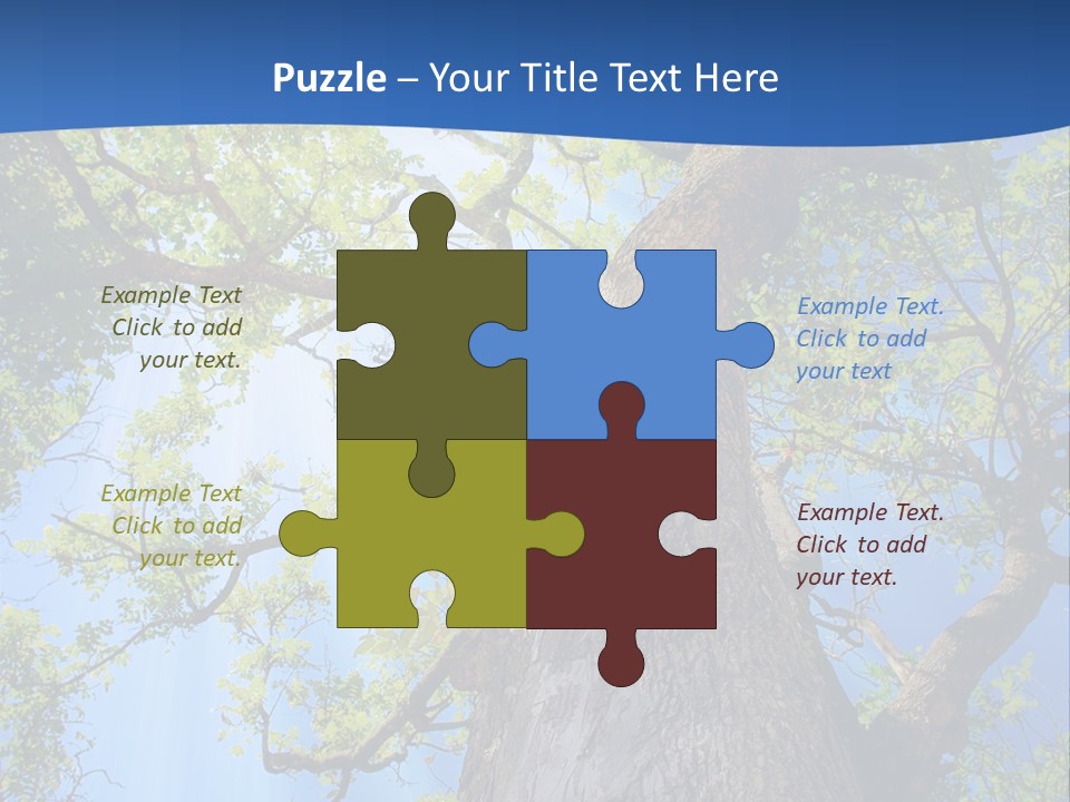 Clear Sunlight Forest PowerPoint Template