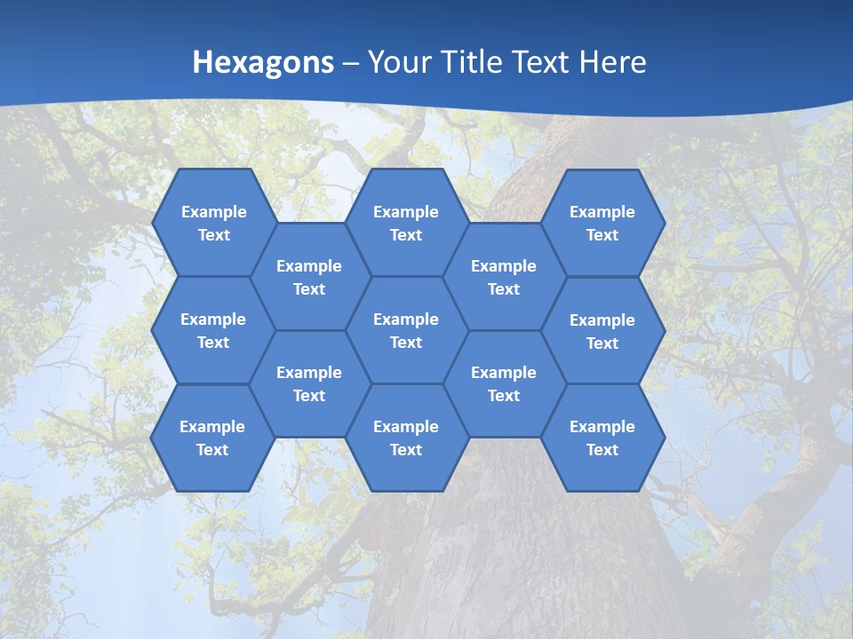 Clear Sunlight Forest PowerPoint Template