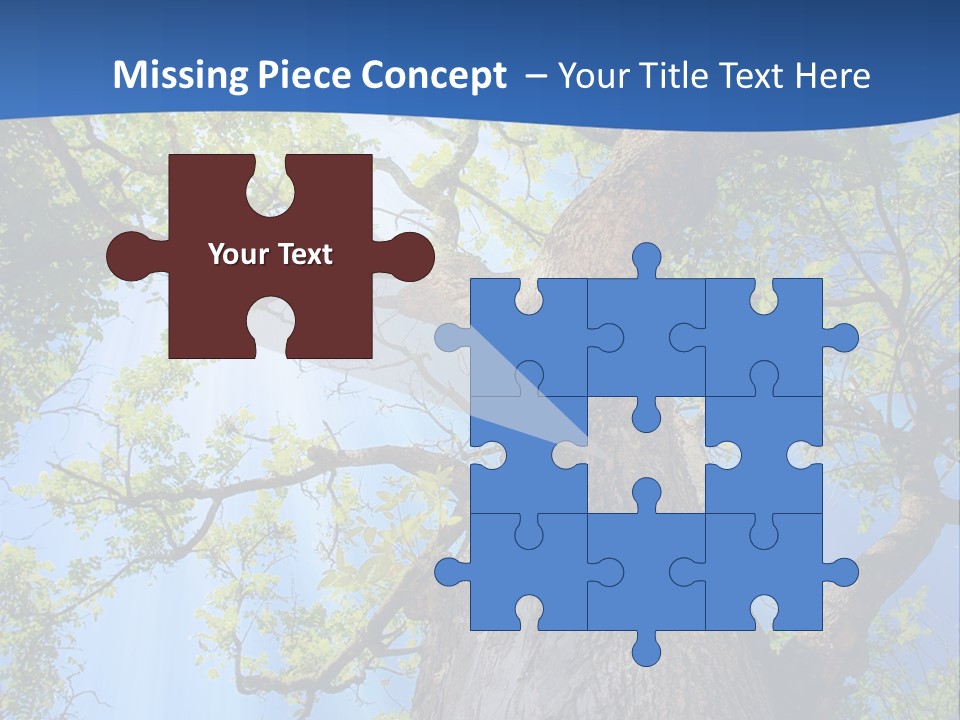 Clear Sunlight Forest PowerPoint Template