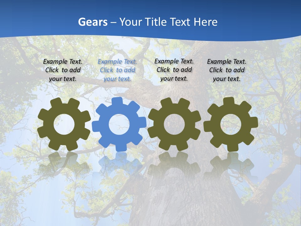 Clear Sunlight Forest PowerPoint Template