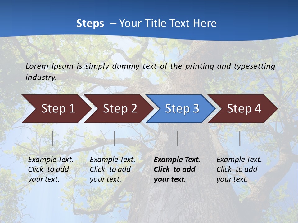 Clear Sunlight Forest PowerPoint Template