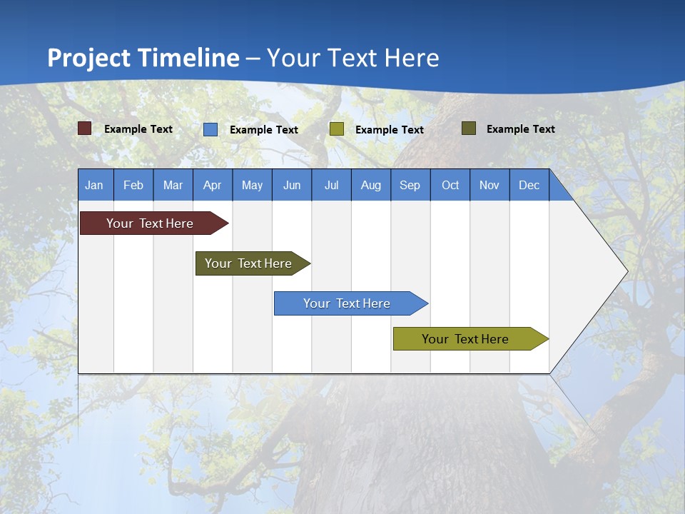 Clear Sunlight Forest PowerPoint Template