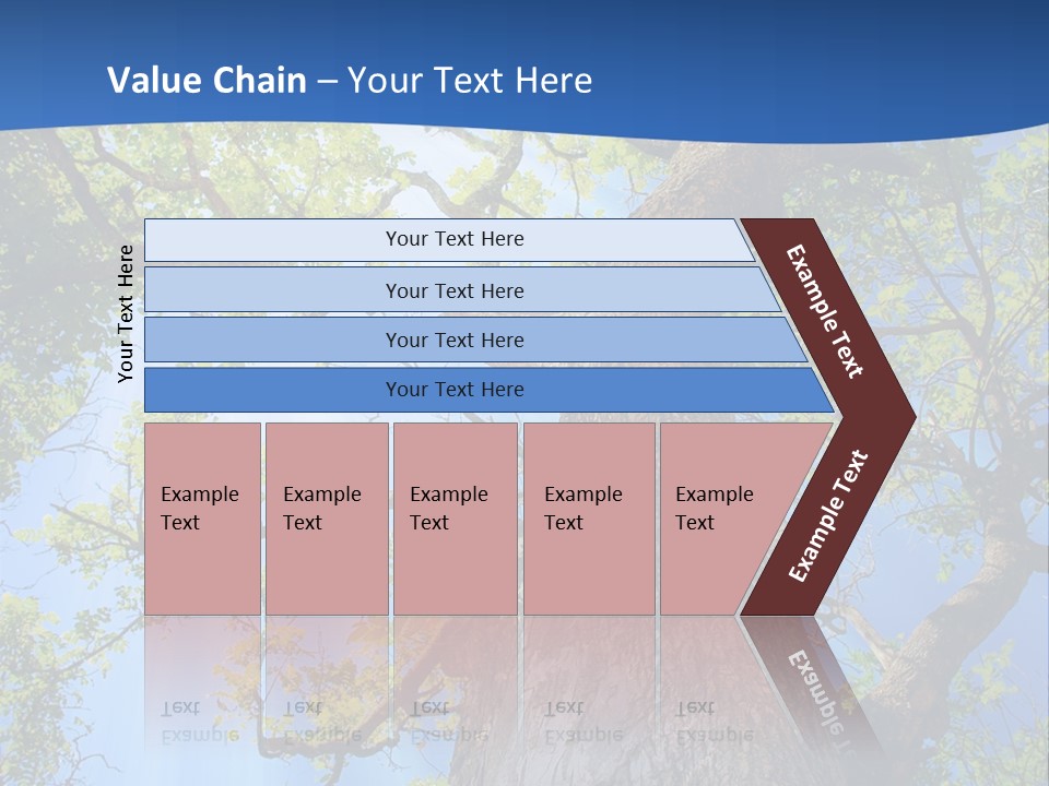Clear Sunlight Forest PowerPoint Template
