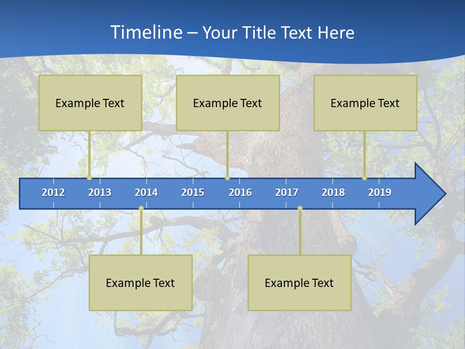 Clear Sunlight Forest PowerPoint Template
