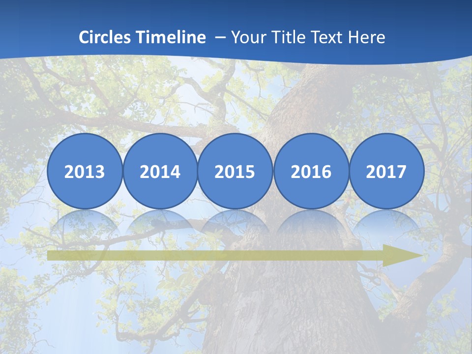 Clear Sunlight Forest PowerPoint Template