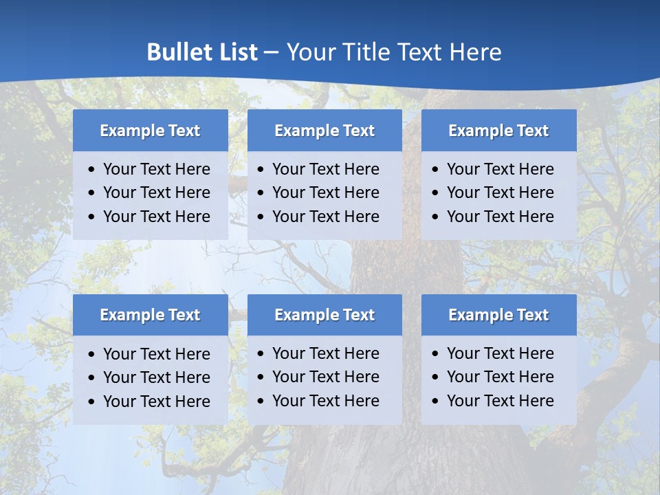 Clear Sunlight Forest PowerPoint Template