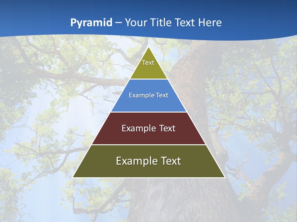 Clear Sunlight Forest PowerPoint Template